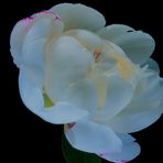 Azahar Uddin - Facebook