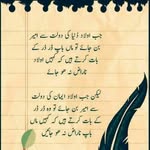 Azhar Bashir - @azharbashir8 - Instagram