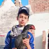 Azhar Bashir - @azhar.bashir589 - TikTok