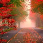Aziz Esmail Panahi - @panahiazizesmail - Instagram