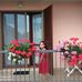 Aziz Farid - Facebook