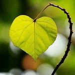 Aziz_Green - @aziz_green_ - Instagram