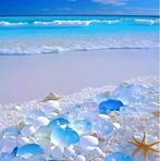 Aziz Halimi - Facebook