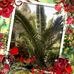 Aziz Hammad Aziz Hammad - Facebook