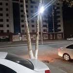 Azizjon Esirgapov - @azizjonesirgapov - Instagram
