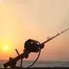 Aziz Kamel - @aziz.kamel01 - TikTok