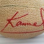 Aziz Kamel - @kamel2362 - Instagram