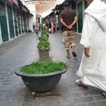 Aziz Kamel - @azizkamel40 - Instagram
