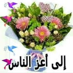 aziz kamel - @azizkamel9 - Instagram