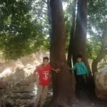 Aziz__karami - @aziz__karami3 - Instagram
