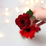 Aziz Khalaf - @khalaf3876 - Instagram