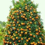 Aziz Khalfi - @khalfi610 - Instagram