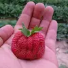 Aziz Matar - @user88063954 - TikTok
