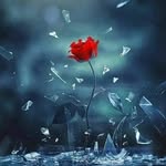 Aziz matar - @mataraziz267 - Instagram