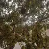 Aziz - @azizmoussa298 - TikTok