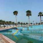 Aziz Abu Odeh - @azizabuodeh - Instagram