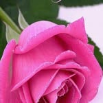 Aziz Ibrahiam Patel - @azizpatel - Instagram