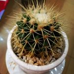 aziz rasooli - @azizrasooliy - Instagram