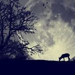 Aziza Mohammed - @aziza.mohammed.5811 - Instagram