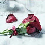 Aziza991 - @aziza_othman - Instagram