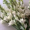 azizulhoque - @azizulhoque4681 - TikTok