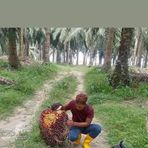 Azka Malik - Facebook