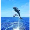 unknown - @azlankhan.888 - TikTok