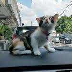 Azlan Ramli - @abramli01 - Instagram