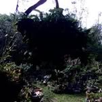 Azmi Osman Azmi Osman - @azmiosmana - Instagram