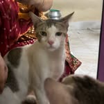 Azra Khatoon - @azra.khatoon.1650 - Instagram