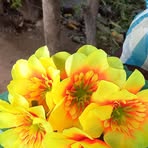 Azucena Rocha - Facebook
