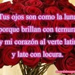 Azucena Rocha - @rocha_azucena - Instagram