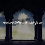 Azza ElFeky - @azzaelfeky8 - Instagram