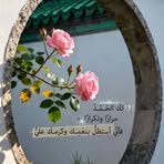 Azza Elfeky - Facebook