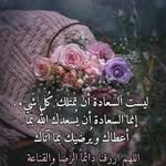 Azza Elfeky - @elfeky6410 - Instagram