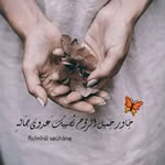 Azza Shaaban - @azza_shaabaan - Instagram
