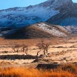 بوان‌گردی|طبیعت زیبای بوانات|زندگی روستایی - @bavangardi - Instagram