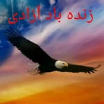 BABAK   AZAD - @babakazad3126 - Instagram