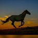 Babak Azad - Facebook