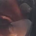 Babak Azadegan - @babakazadegan - Instagram