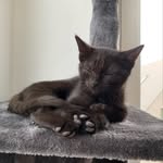 Polly, Babette en mama Bella - @polly.babette.bella - Instagram
