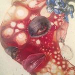 Judith Babette Phillips - @linedlips_spikedbats - Instagram