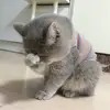 Khánh Hòa - @babettephillips5 - TikTok