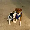 Babette Rivera - @babette.rivera - TikTok