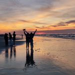 Babette - @babetterosseau - Instagram