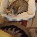 Bobette Ross - Facebook