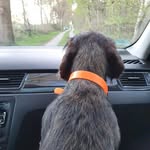Babette Steindorf - @babettesteindorf - Instagram