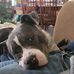 Babette Thomas - Facebook