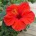 Babette Thomas - Facebook