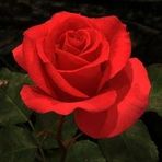 Babette Weber - Facebook